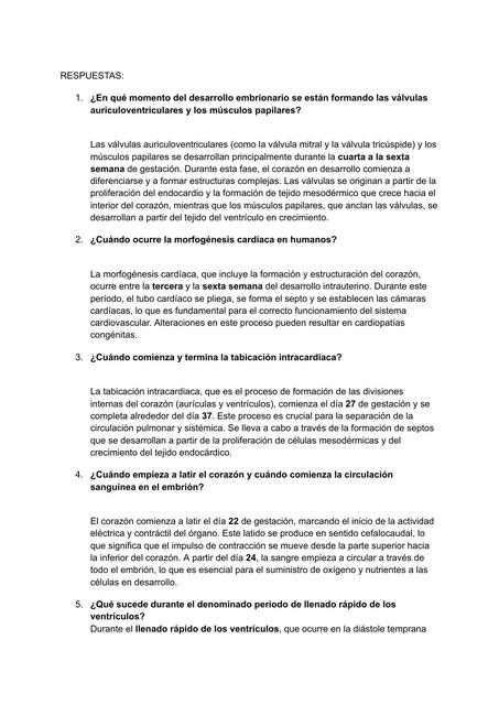 Documento sin título 15