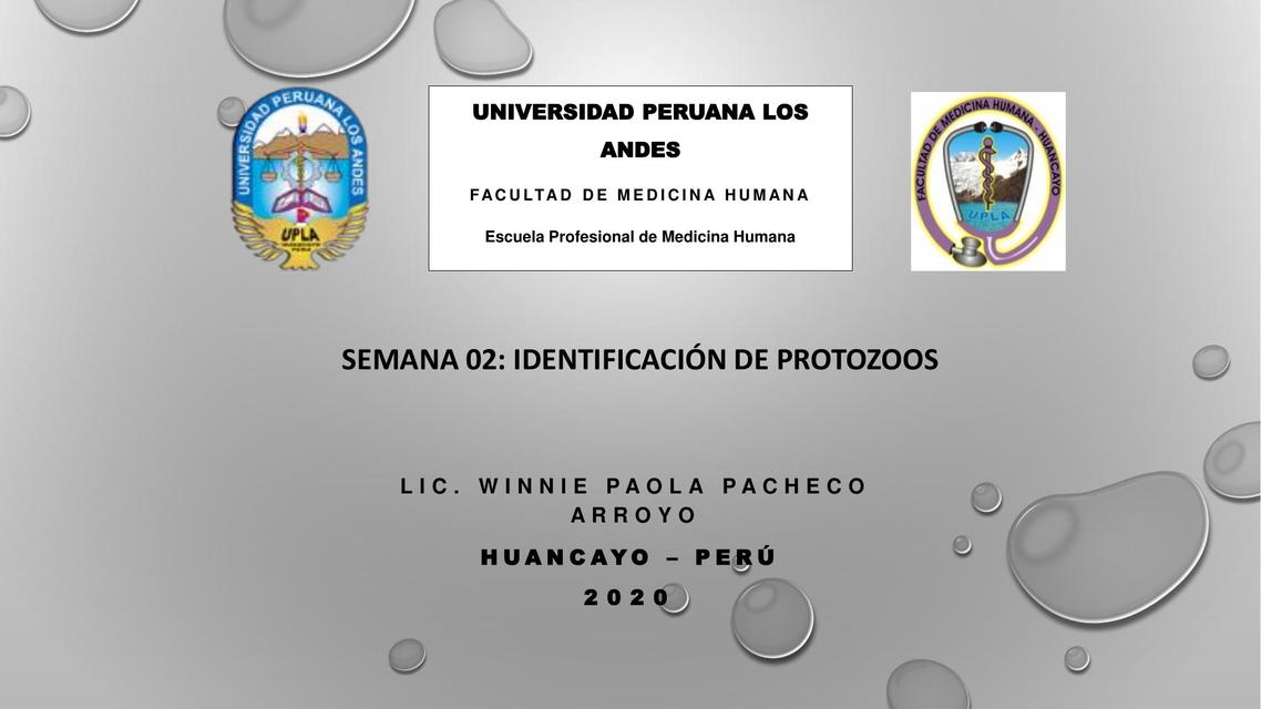 IDENTIFICACION DE PROTOZOOS