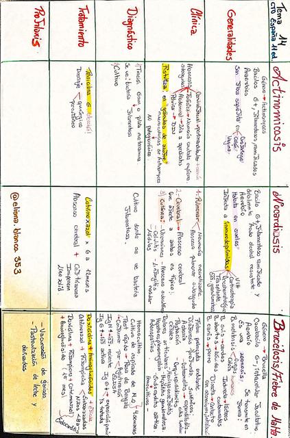 BRUCELOSIS, NOCARDIOSIS Y ACTINOMICOSIS