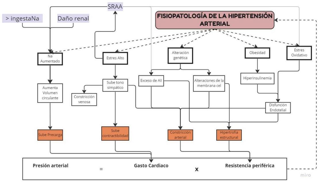 Fisiopatología de la hipertensión arterial