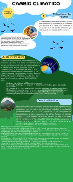 Infografía de Proceso Naturaleza Sencillo Ilustrad