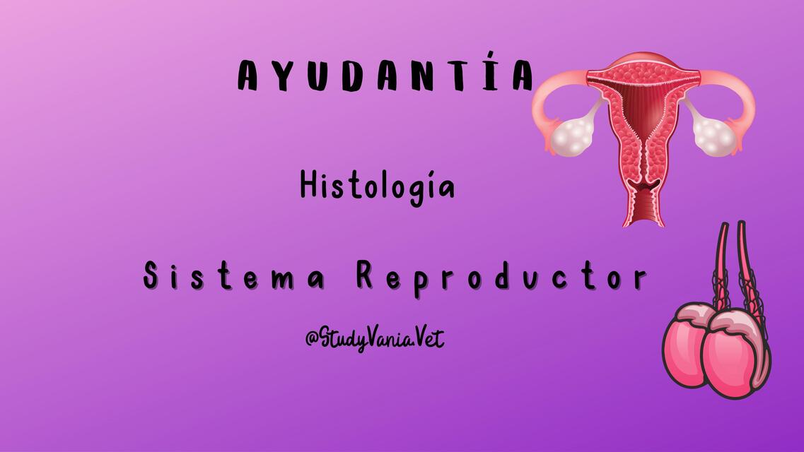 Sistema reproductivo