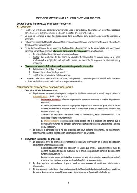 DERECHOS FUNDAMENTALES - PERÚ