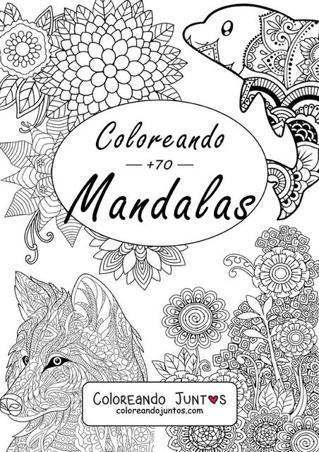 2 libro para colorear de mandalas