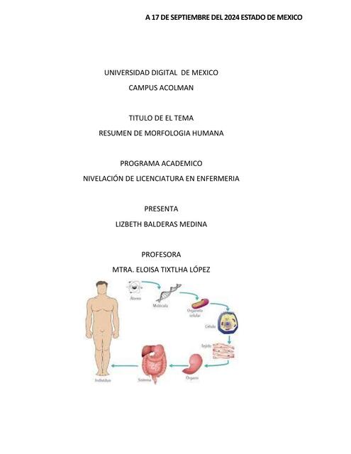 MORFOLOGIA HUMANA LIZBETH