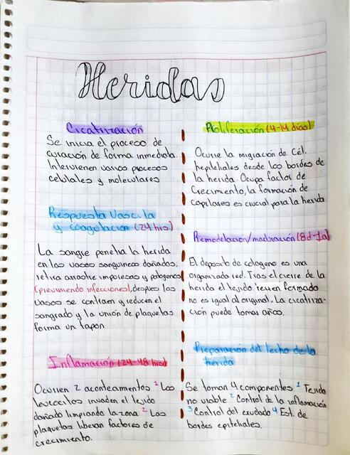 Heridas Sandra Gonzalez Udocz