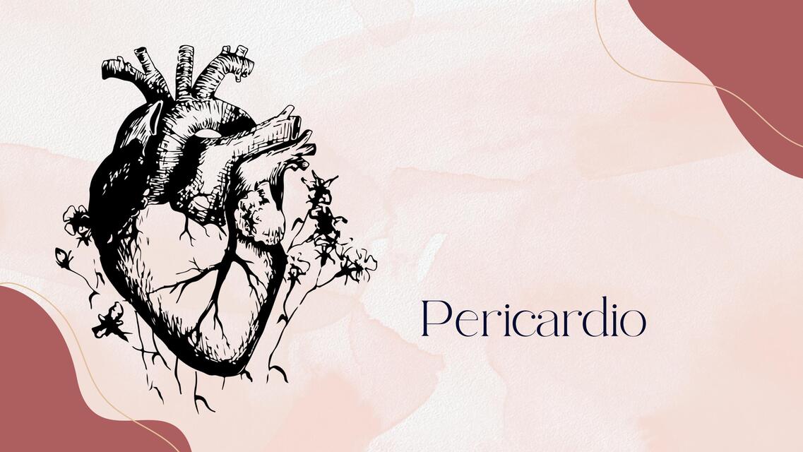 Pericárdio anatomia