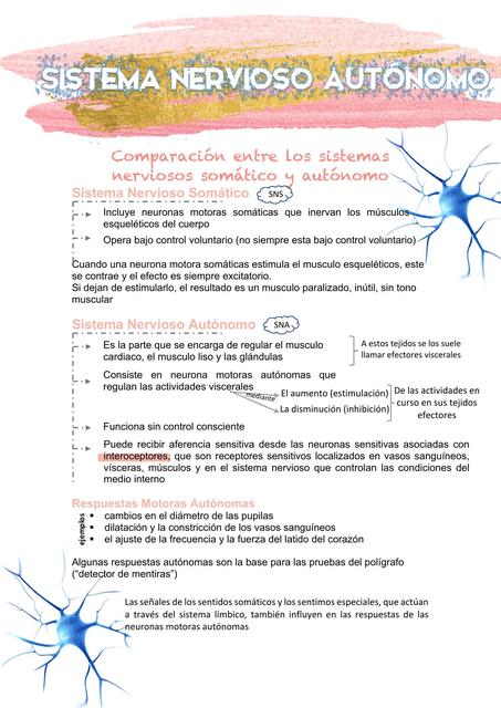 sistema nervioso autónomo (libro tortora)