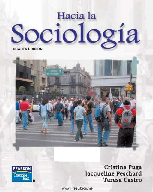 Hacia la sociologia