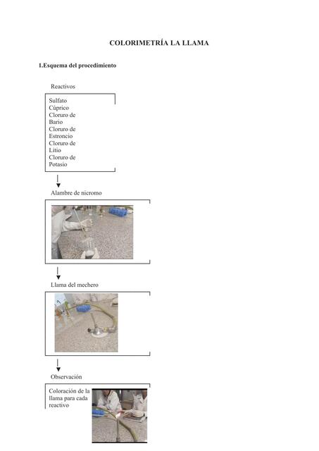COLORIMETRÍA LA LLAMA