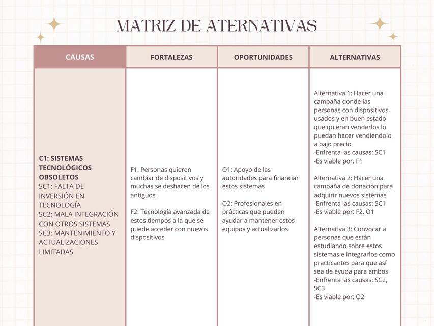 Matriz de alternativas S4 | Michelle | uDocz