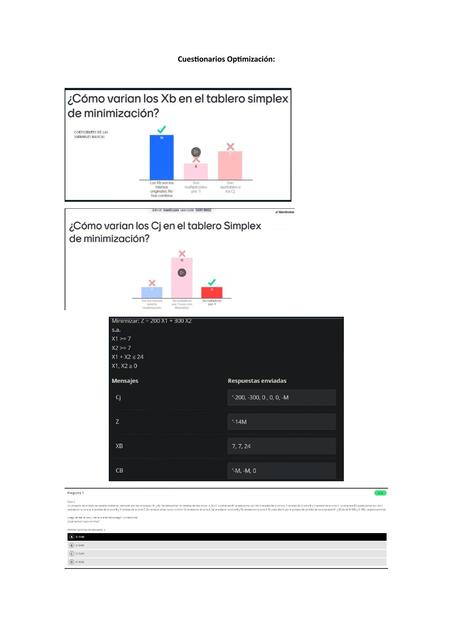 Cuestionarios Optimización