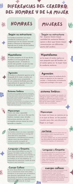 Infografía Comparación neurología