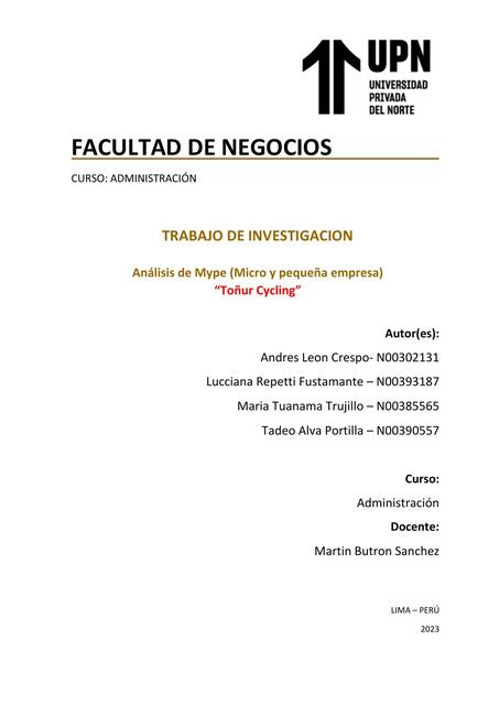 Trabajo de Investigacion Mype