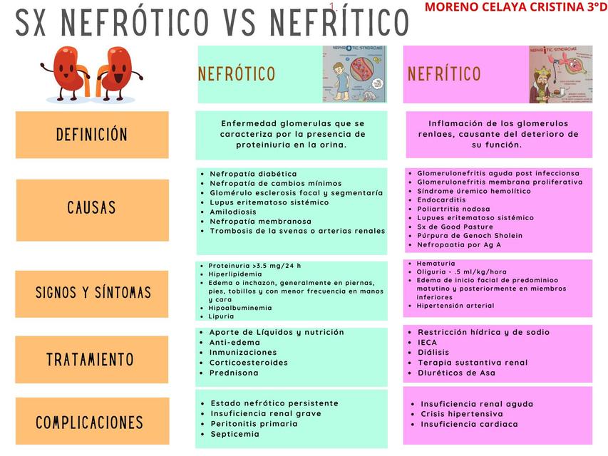 Sx Nefrotico Vs Nefritico 3d Nefrologia Sintoma Udocz