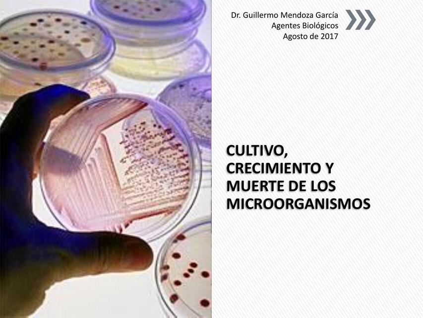 2 CULTIVO CRECIMIENTO Y MUERTE DE LOS MICROORGANIS