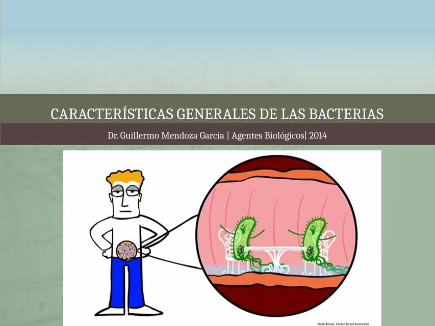 1 CARACTERÍSTICAS GENERALES DE LAS BACTERIAS