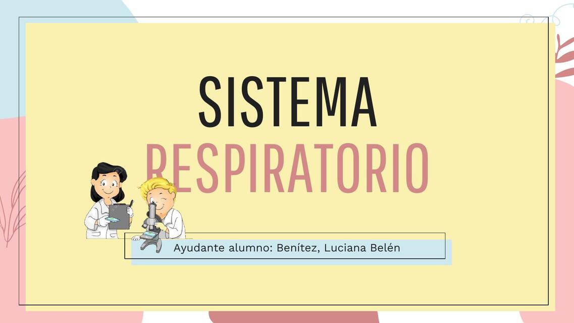 Histología del aparato respiratorio