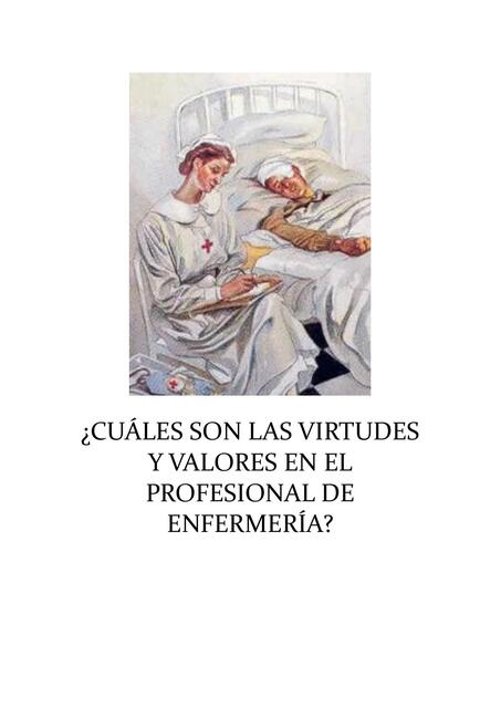 VIRTUDES Y VALORES EN EL PROFESIONAL DE ENFERMERÍA