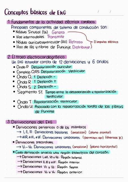 Fisiología Segundo Registro