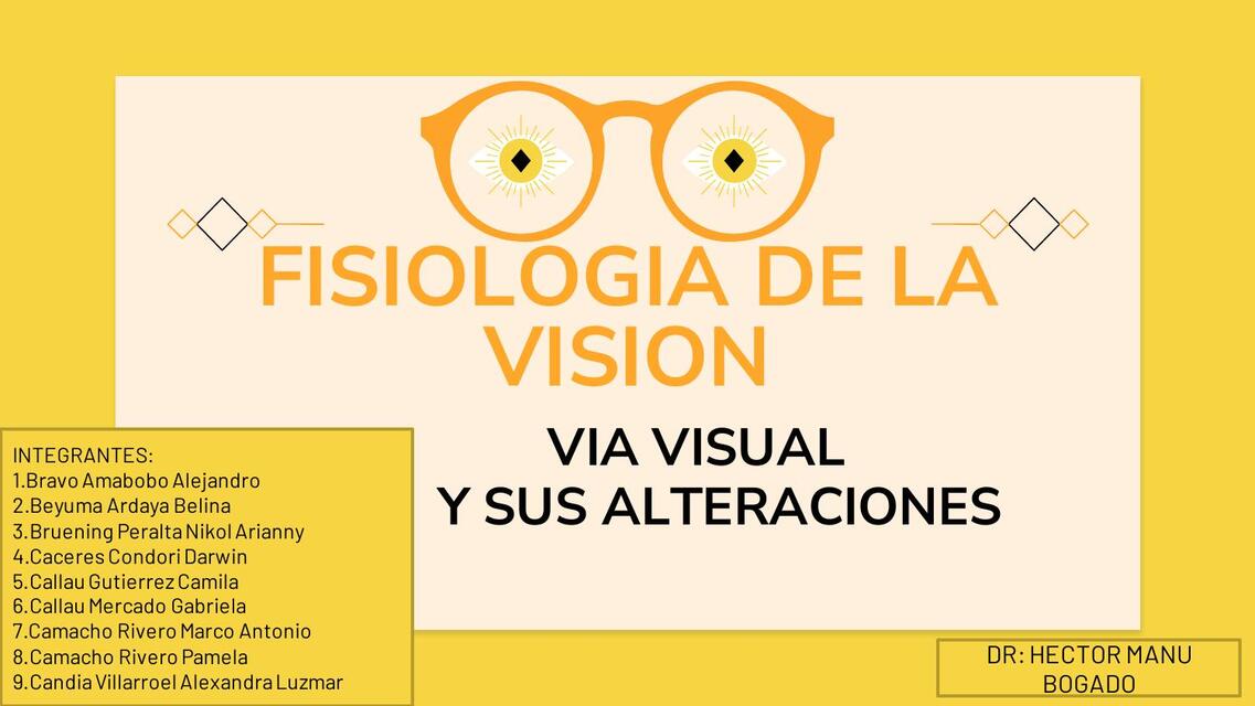 Fisiologia De La Vision Grupo3 Gladys Udocz