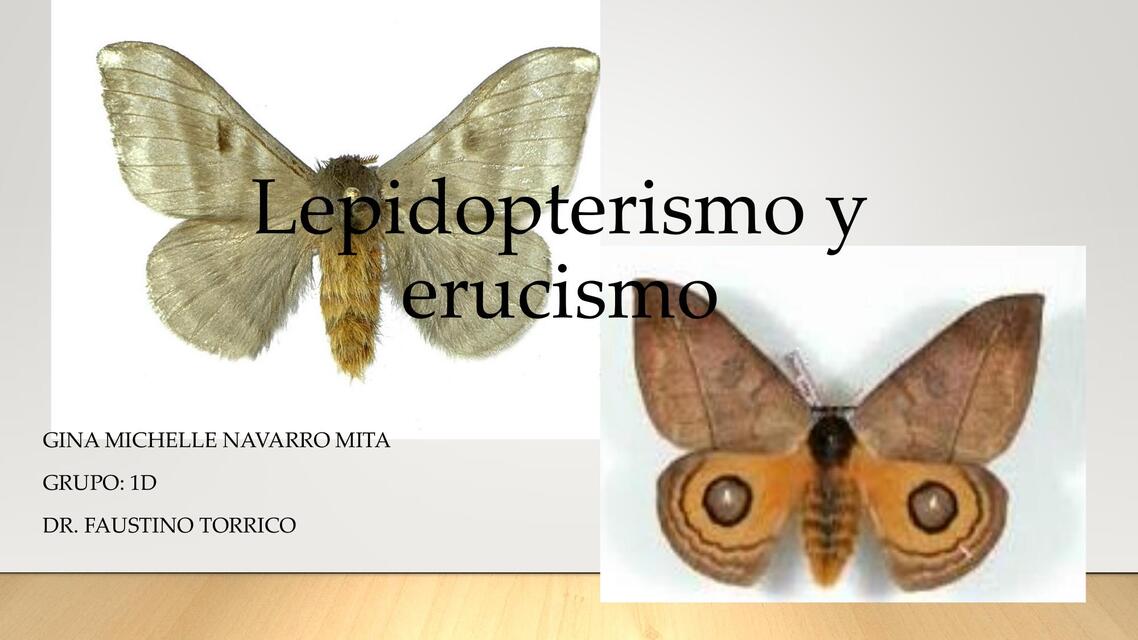 Lepidopterismo y erucismo