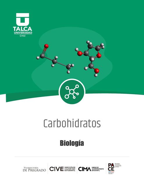 1 bio Carbohidratos