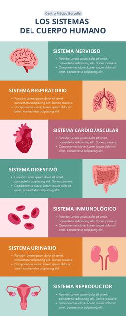 Infografía Sistemas Cuerpo Humano Ilustrado Multic