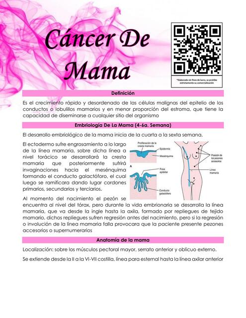 T27 CANCER DE MAMA