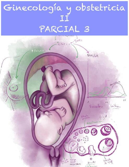 Ginecología y obstetricia II 