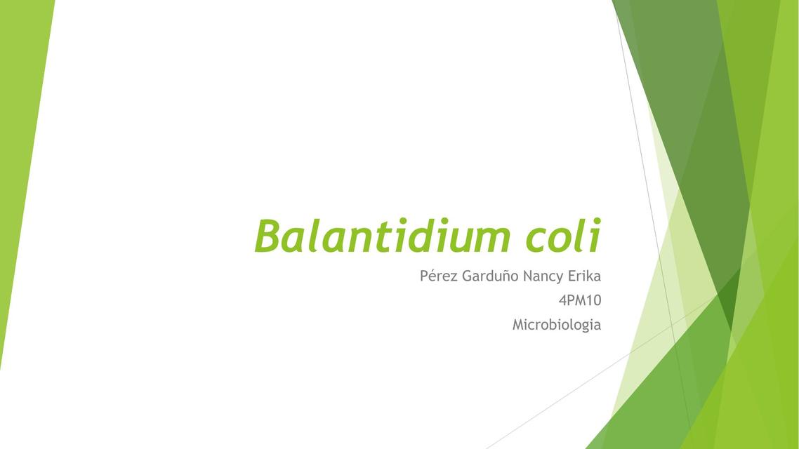 Balantidium coli