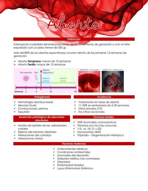 T23 Aborto