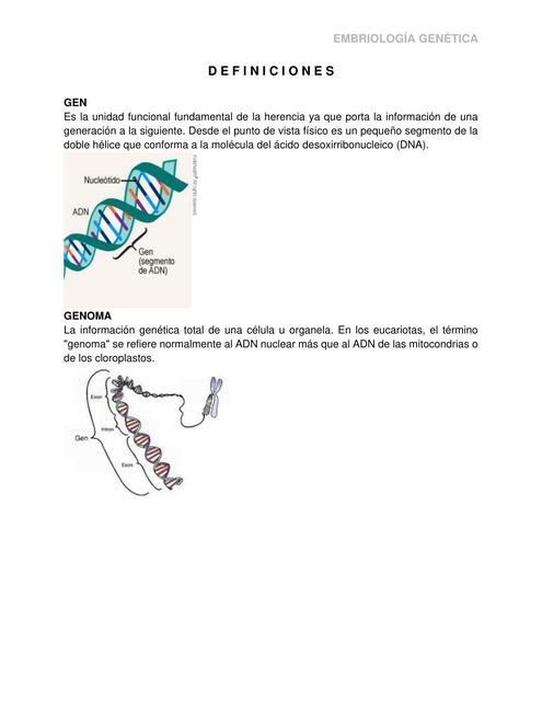 DefinicionGen Genona Cariotipo