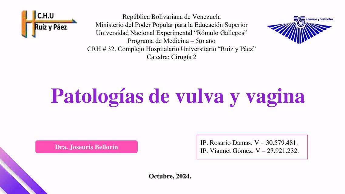 Patologias de vulva y vagina Rosario Viannet 5to