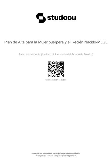 PLAN DE ALTA PUERPERA