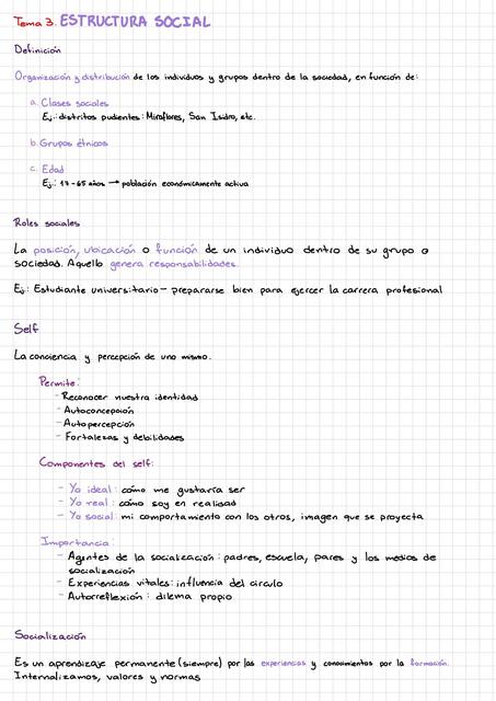 Estructura Social - apuntes de clase