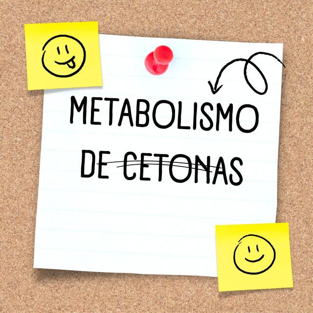 MEATOBLISMO DE CETONAS