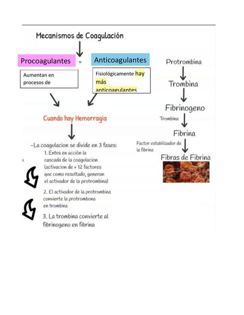 Hemorragia