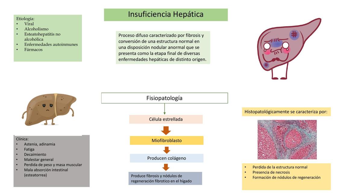 Hepatopatia Crônica E Cirrose - RETOEDU