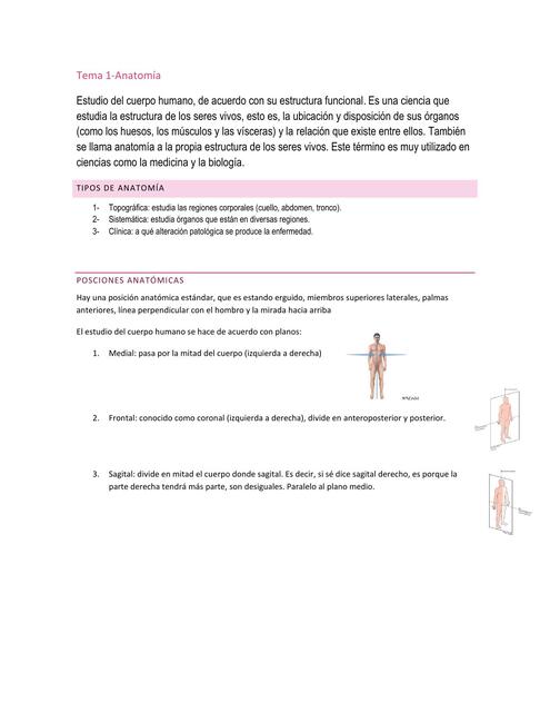 Posiciones y Moviientos Anatómicos