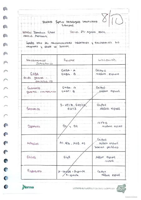 cuadro neurotransmisores