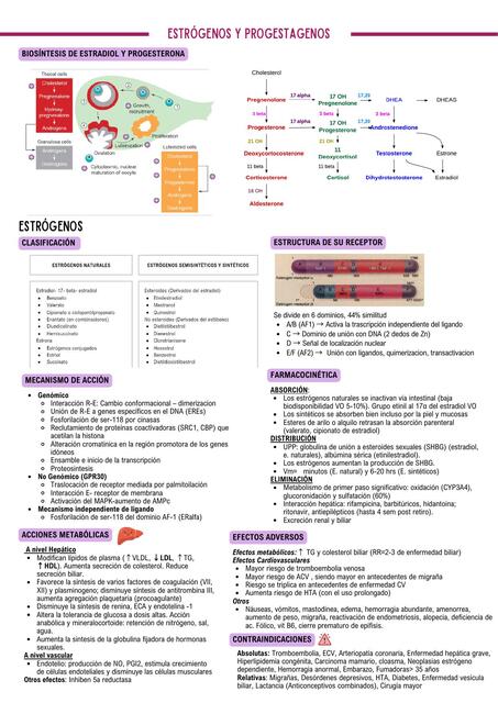 Estrógenos y progestágenos
