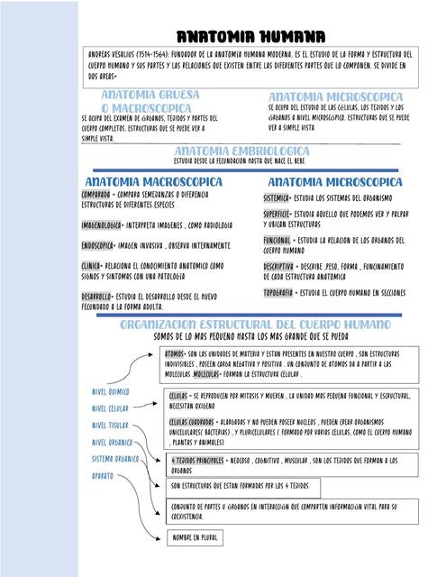 ANATOMIA HUMANA, POSICIONES ANATOMICAS, OSTEOLOGIA, ARTROLOGIA