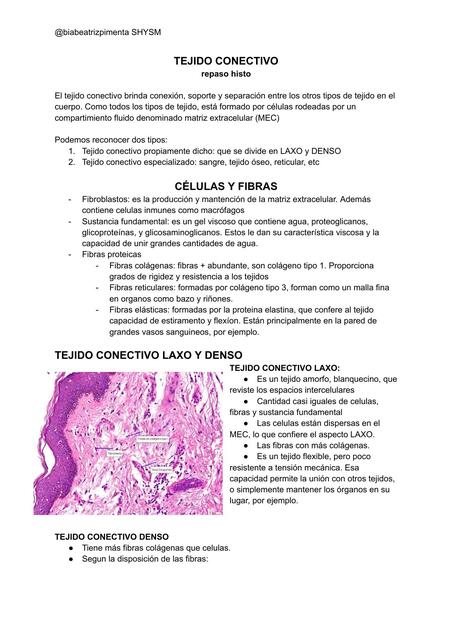 TEJIDO CONECTIVO - histologia