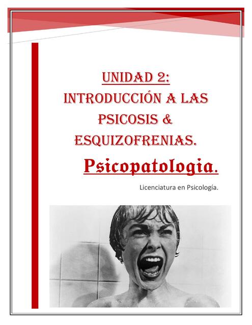 Psicopatologia Unidad 2