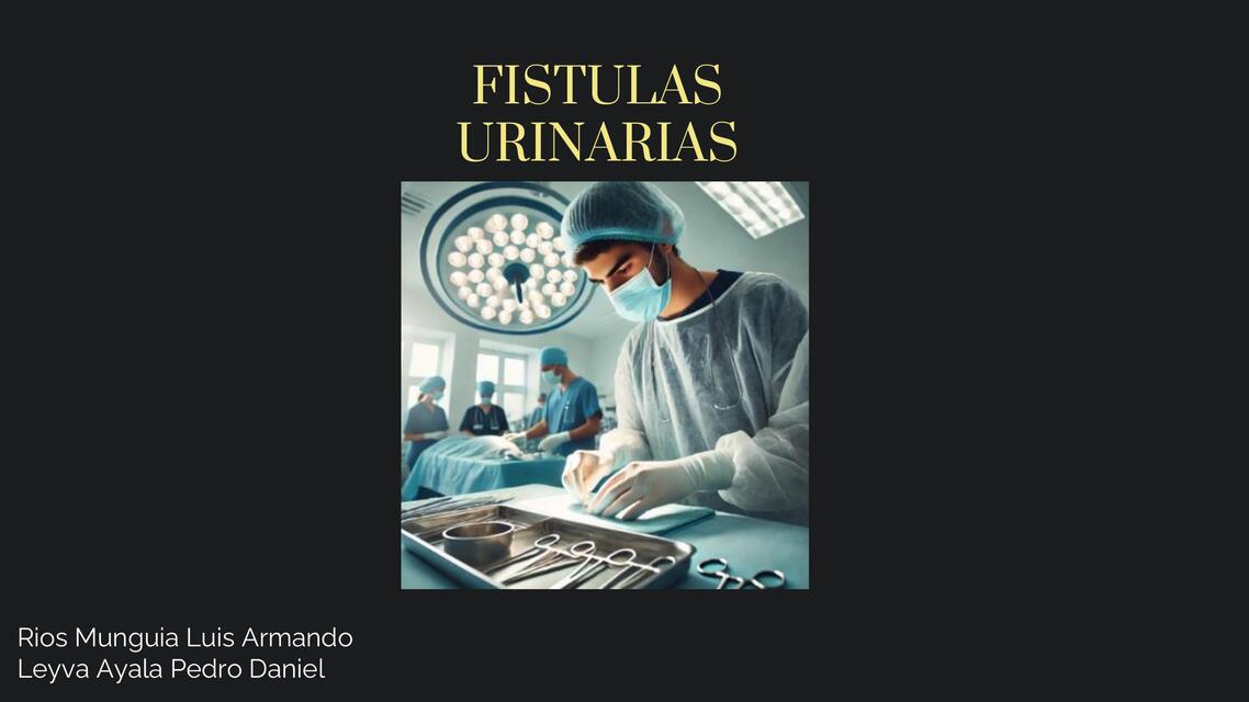 Introduccion a las fistulas urinarias