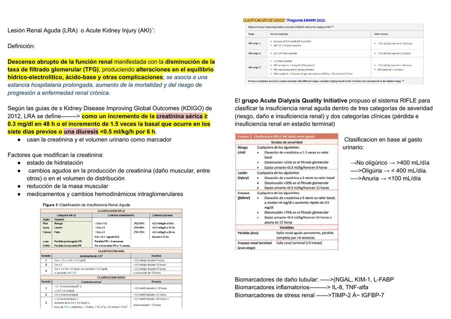 Lesión Renal Aguda