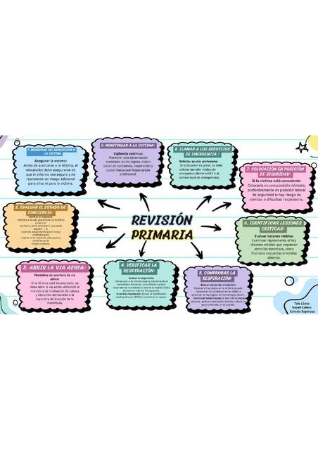 Revision Primaria