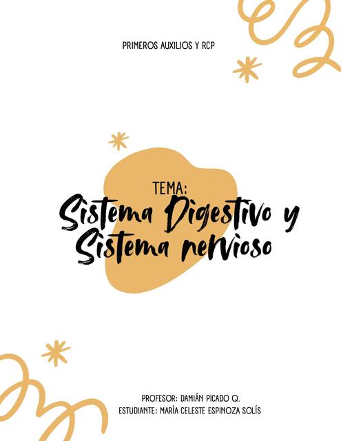 Sistema Digestivo y Nervioso