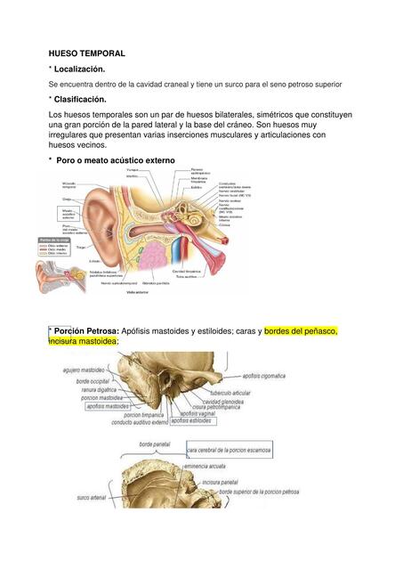 guia 1 de anatomofisiologia